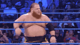 This is not Brock Lesnar but I&#039;m only so committed to trolling the piss out of some self-loathing anon