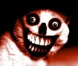 goatse 2