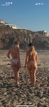 pawgs