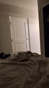 20250414_215641_1