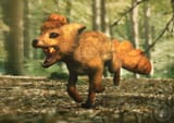 joshua-dunlop-vulpix-watermarked-1-min