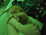 20250707_001750(2)