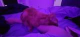 20250712_224357(1)