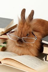 bunnyscholar4
