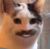 1748038663092831