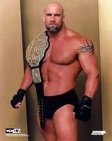 GOLDBERG AS WCW CHAMPION