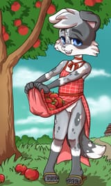 5631770_Kagemusha_apples