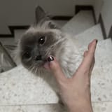 GS9YFxZW0AAhB6I