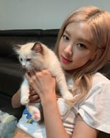190813-ROSE-Instagram-Update-documents-1