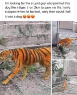 1690538869825880