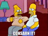 consarn it