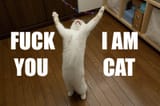 FUiamcat
