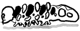 Captura de pantalla 2025-07-13 191442