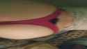 VID_20210214_020630-00.00.09.221-00.00.19.742 (video-converter.com)_thumb.jpg