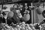 Peter Lorre 6.c82b52f1e8c72cc0c545fb5ef92cd83e