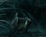 No_more_dead_heroes (1)