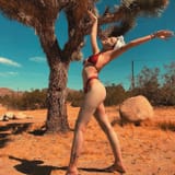 Halsey (43)