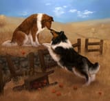 1422200516.wolnir_колли