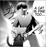 a-cat-is-fine-too-5ce21b3a88959
