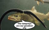 greastest ally