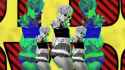 2b_thumb.jpg