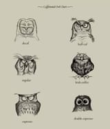 owl