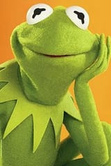 0af2febe1f6a48ddd8368cec30e37904--the-muppets-kermit