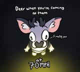 finally car 1714937645189495 famous last words of the deer