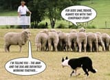 Conspiracy