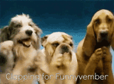 funnyvember-dog