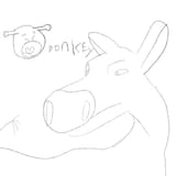 Animation2
