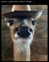 arthur_morgan