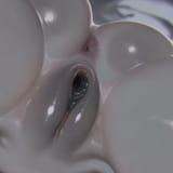 darkportal