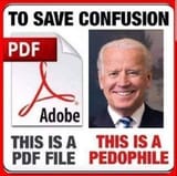 biden pdf file and pedophile