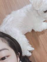 dubu72