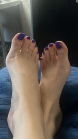 7877261