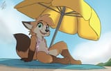 5640285_Adroan_beach