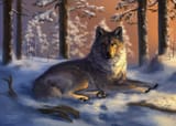 1486400940.wolnir_flint4_copysm