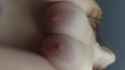 14959551_thumb.jpg