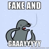 FAKE AND GAY