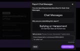 reportpjv