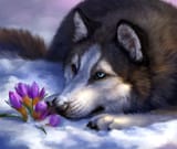 1489593515.wolnir_2341234