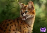 1495820422.wolnir_serval3_copysm