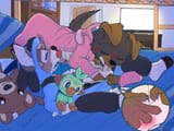 5638658_PillowPet_photo_2024-10-06_15-11-20