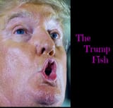 TRUMP FISH