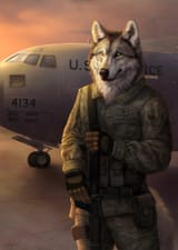 1515110308.wolnir_aviation_fin_sm