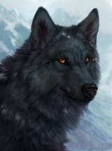 1516367533.wolnir_klank_fa