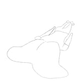 Animation