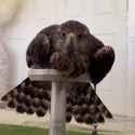 video_2024-10-22_19-43-15_thumb.jpg
