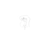 Animation